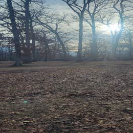 Wapsipinicon State Park Campground