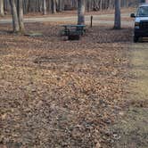 Review photo of Wapsipinicon State Park Campground by Adria K., February 22, 2024