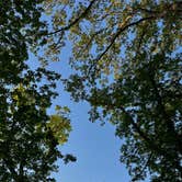 Review photo of Wapsipinicon State Park Campground by Steve T., May 23, 2026