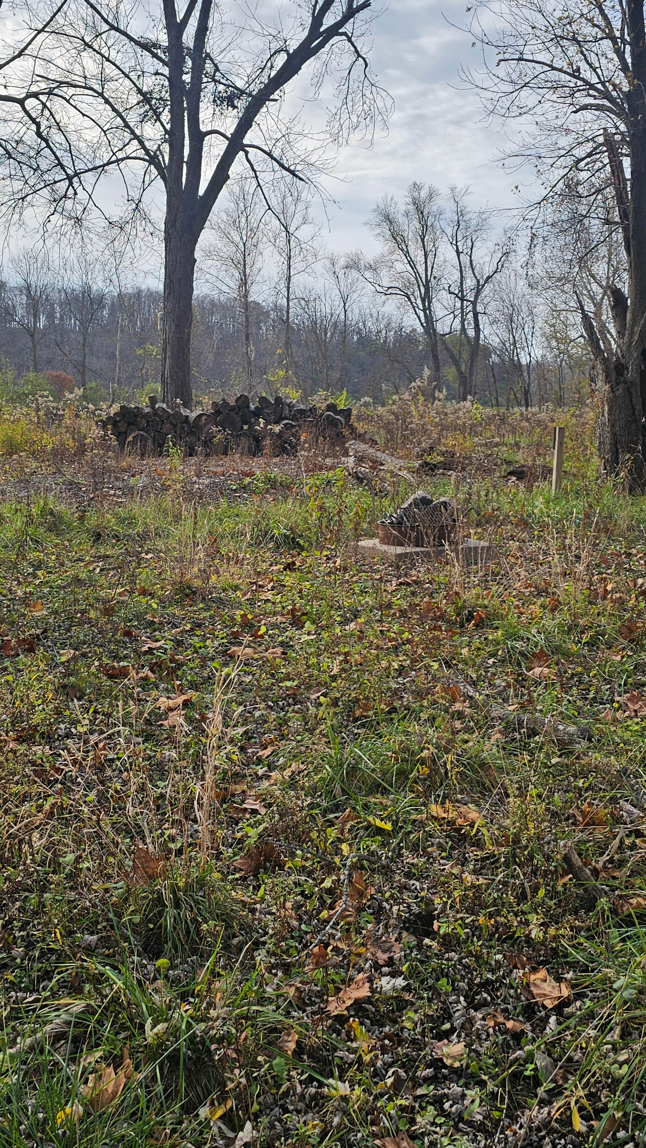 Camper-submitted photo at Welter Recreation Area near Burlington, IA