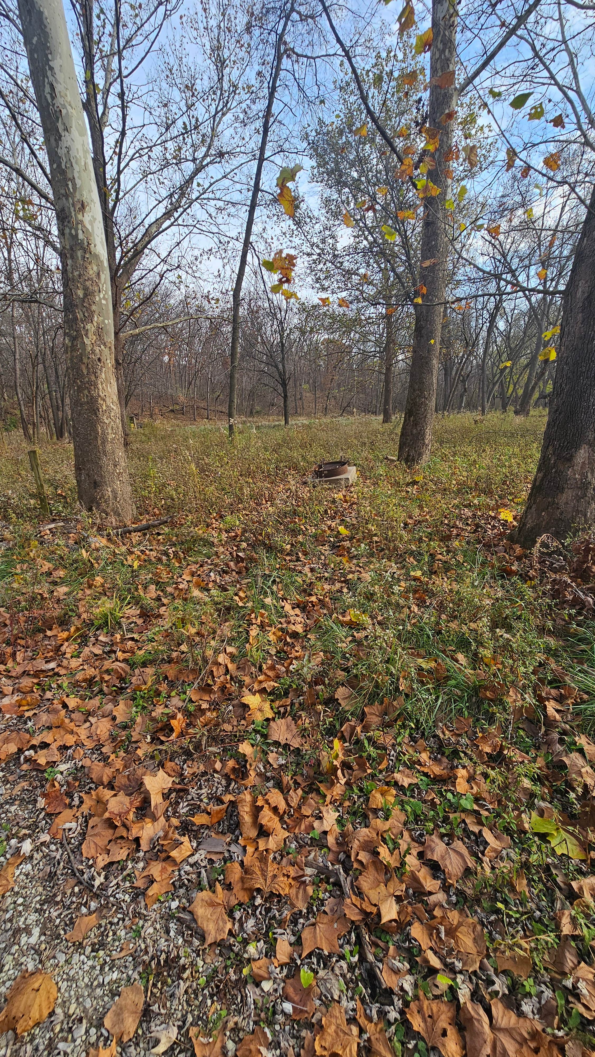 Camper-submitted photo at Welter Recreation Area near Burlington, IA