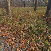 Review photo of Welter Recreation Area by Travis R., November 17, 2024