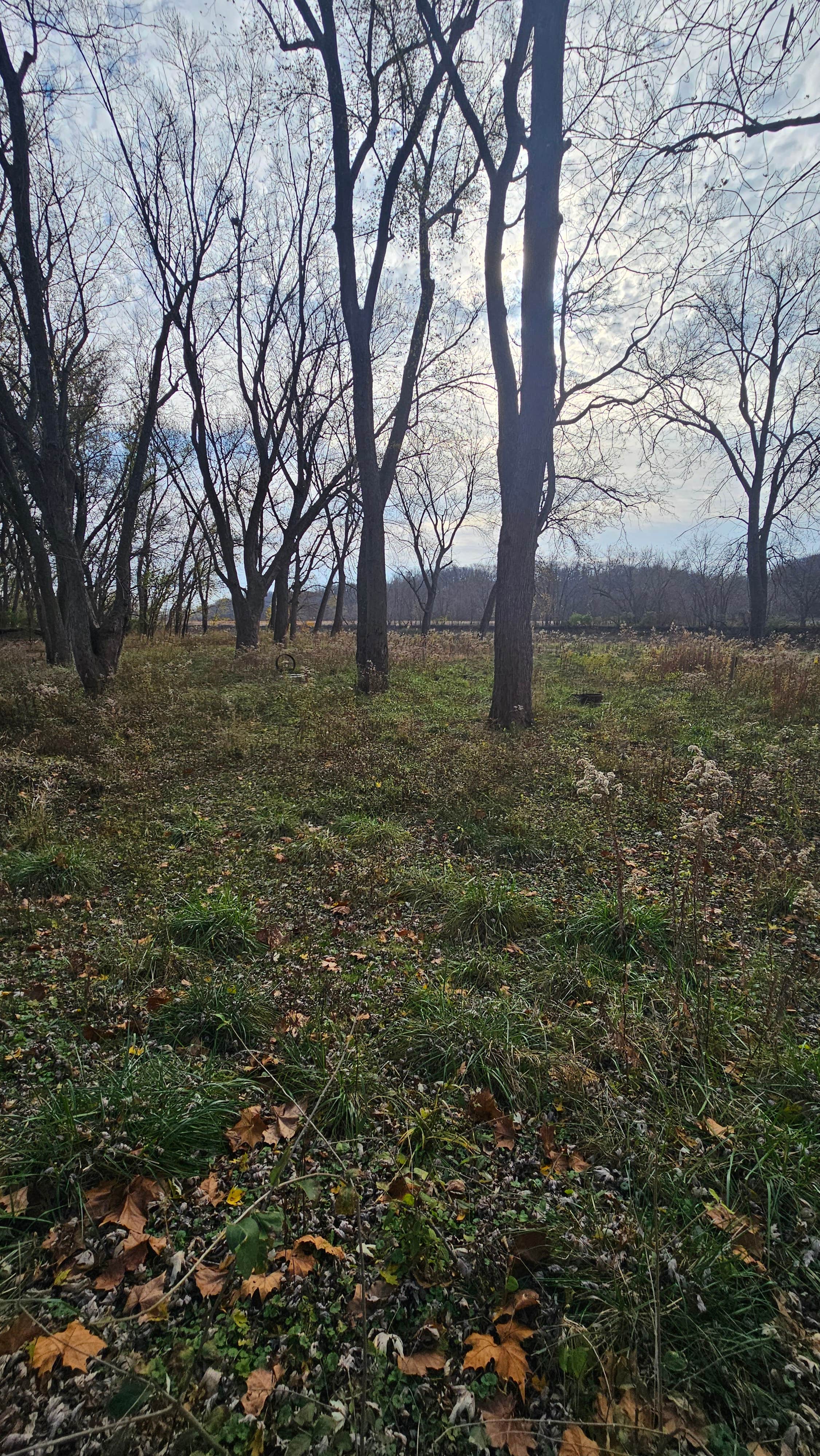 Camping near Lee County Pollmiller Park: Welter Recreation Area, West Burlington, Iowa