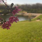 Review photo of Park Terrace Campground - West Lake Park by Ashley F., January 9, 2026