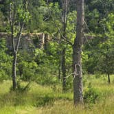 Review photo of Wildcat Bluff County Park by Nick B., June 6, 2024