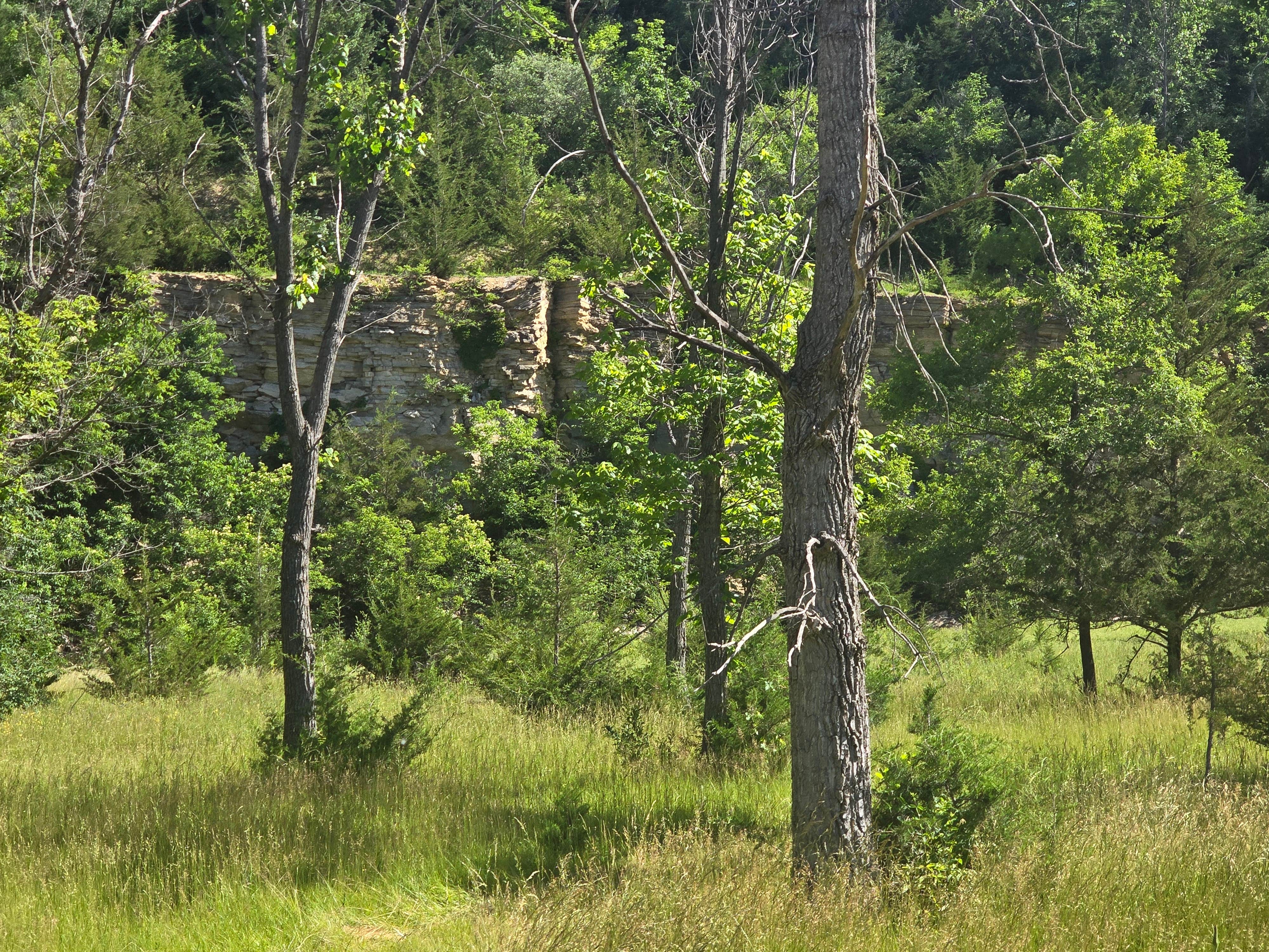 Camper submitted image from Wildcat Bluff County Park - 1