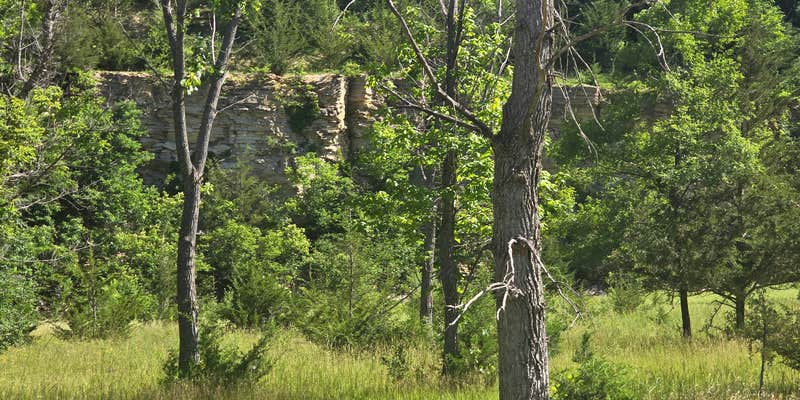 Camper submitted image from Wildcat Bluff County Park