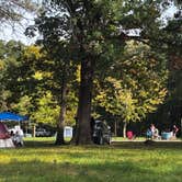 Review photo of Wildcat Den State Park Campground by James M., October 10, 2026
