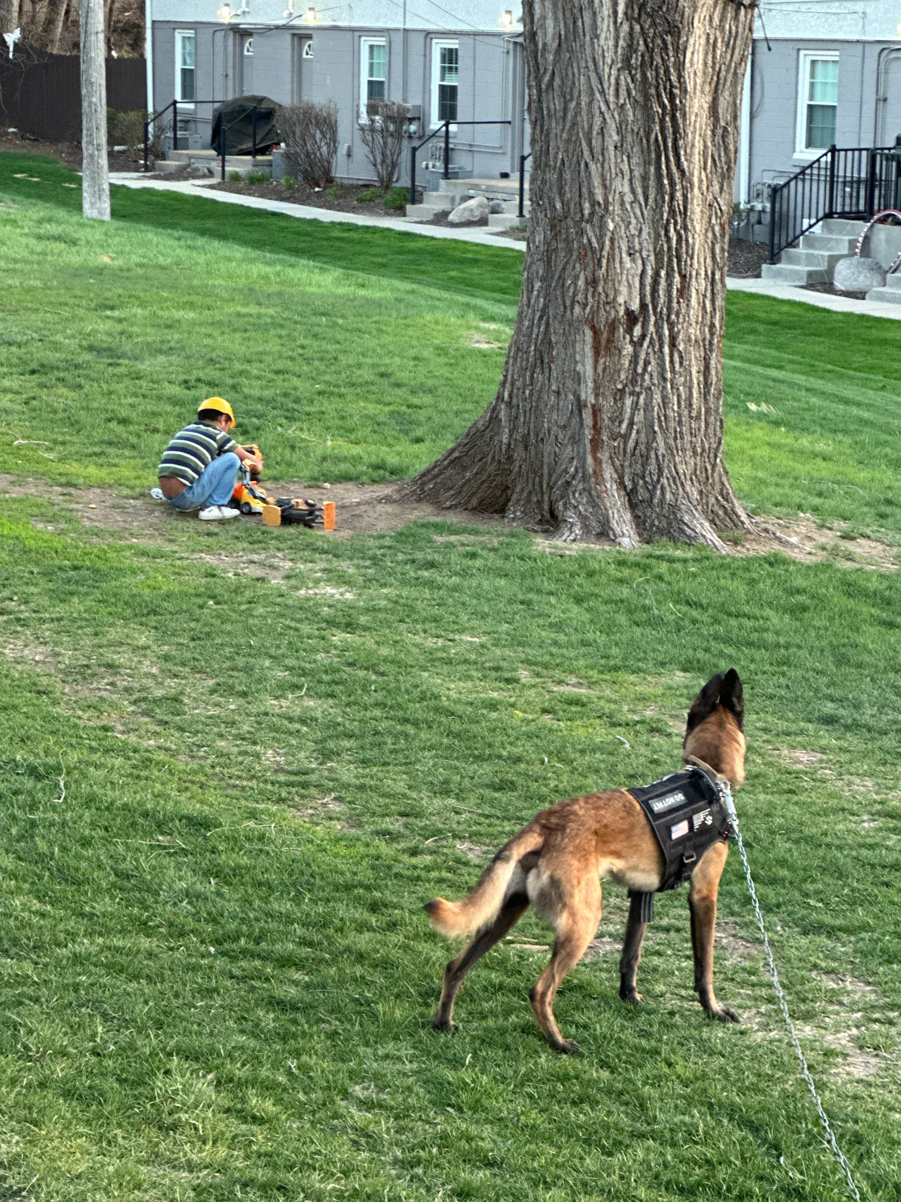 Camper-submitted photo at Willow Lake Recreation Area near Pisgah, IA