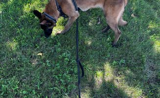 rafael C.'s photo of camping with pets at Willow Lake Recreation Area near Blair, NE