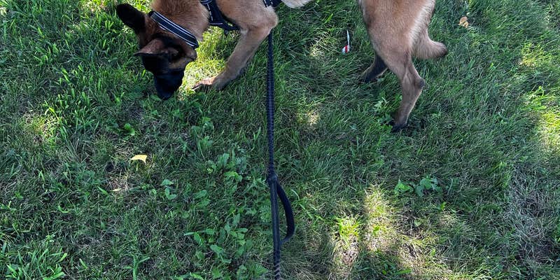 Camper submitted image from Willow Lake Recreation Area