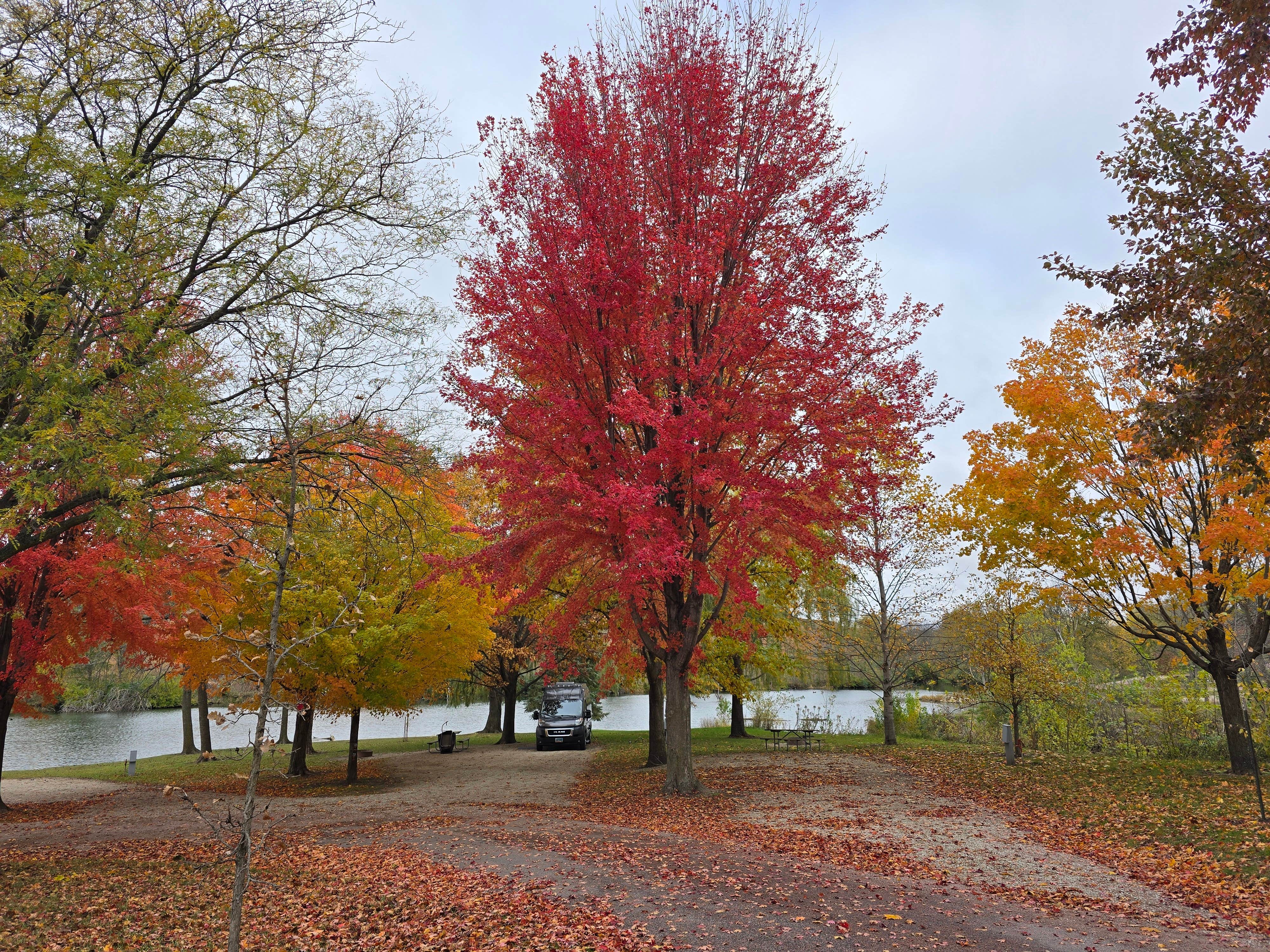 Camper-submitted photo at Willow Lake Recreation Area near Pisgah, IA
