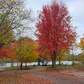 Review photo of Willow Lake Recreation Area by Teresa T., November 1, 2025
