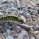 Review photo of Irish Canyon Campground by Todd J., May 28, 2025