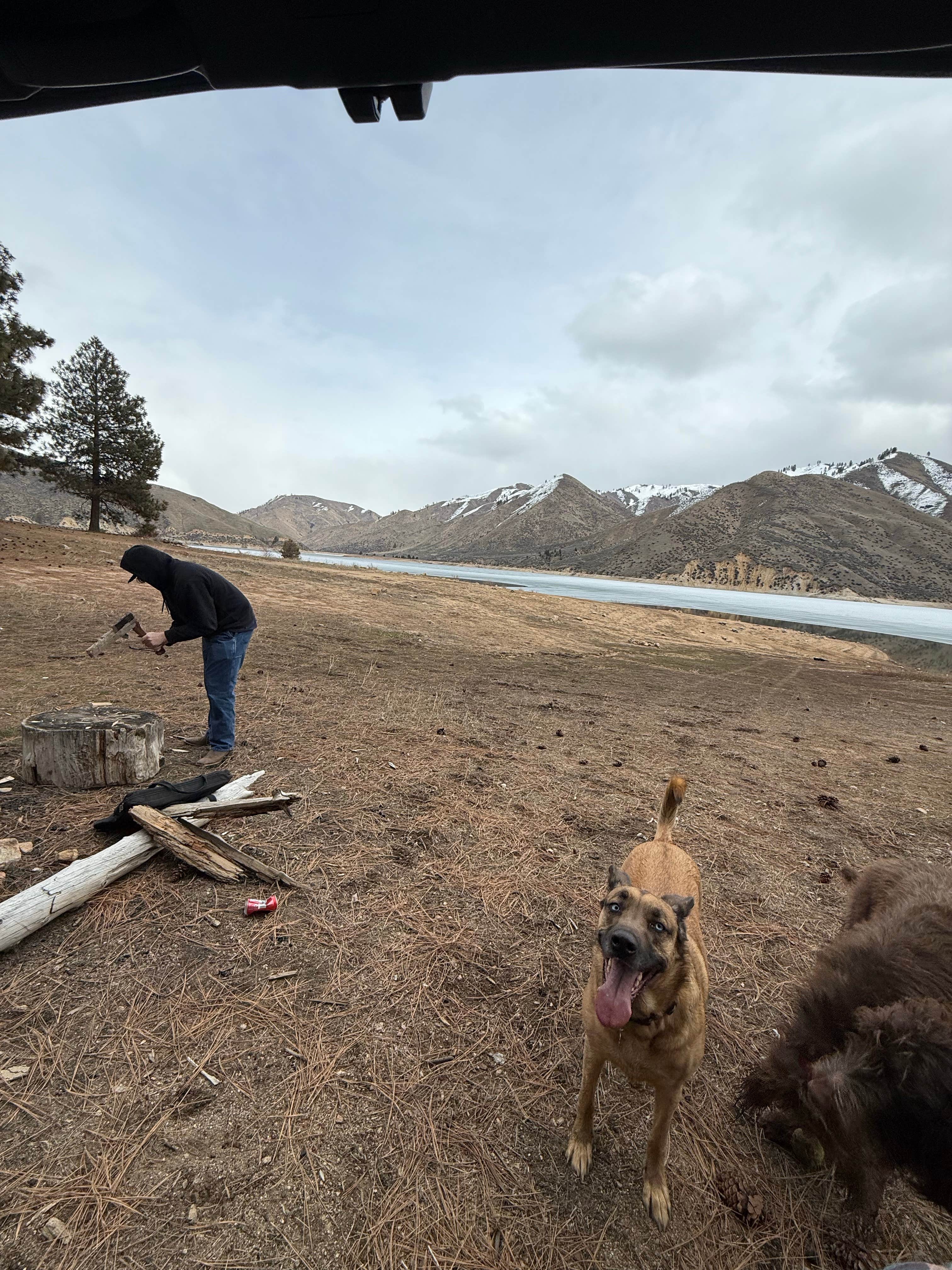 Austin L.'s photo of camping with pets at Irish Point Dispersed Camp Ground near Boise, ID