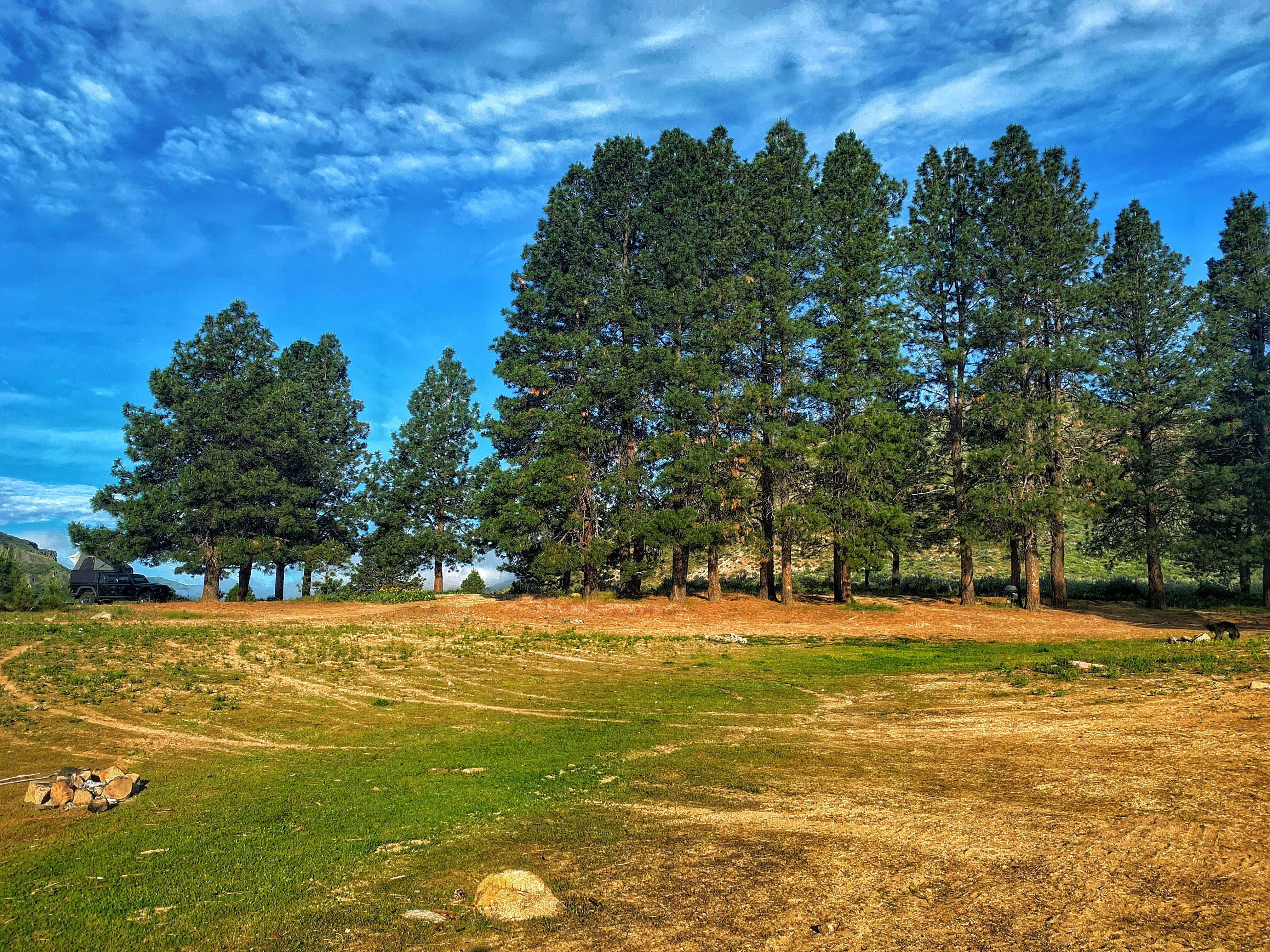 Sadie P.'s photo of camping with pets at Irish Point Dispersed Camp Ground near Boise, ID