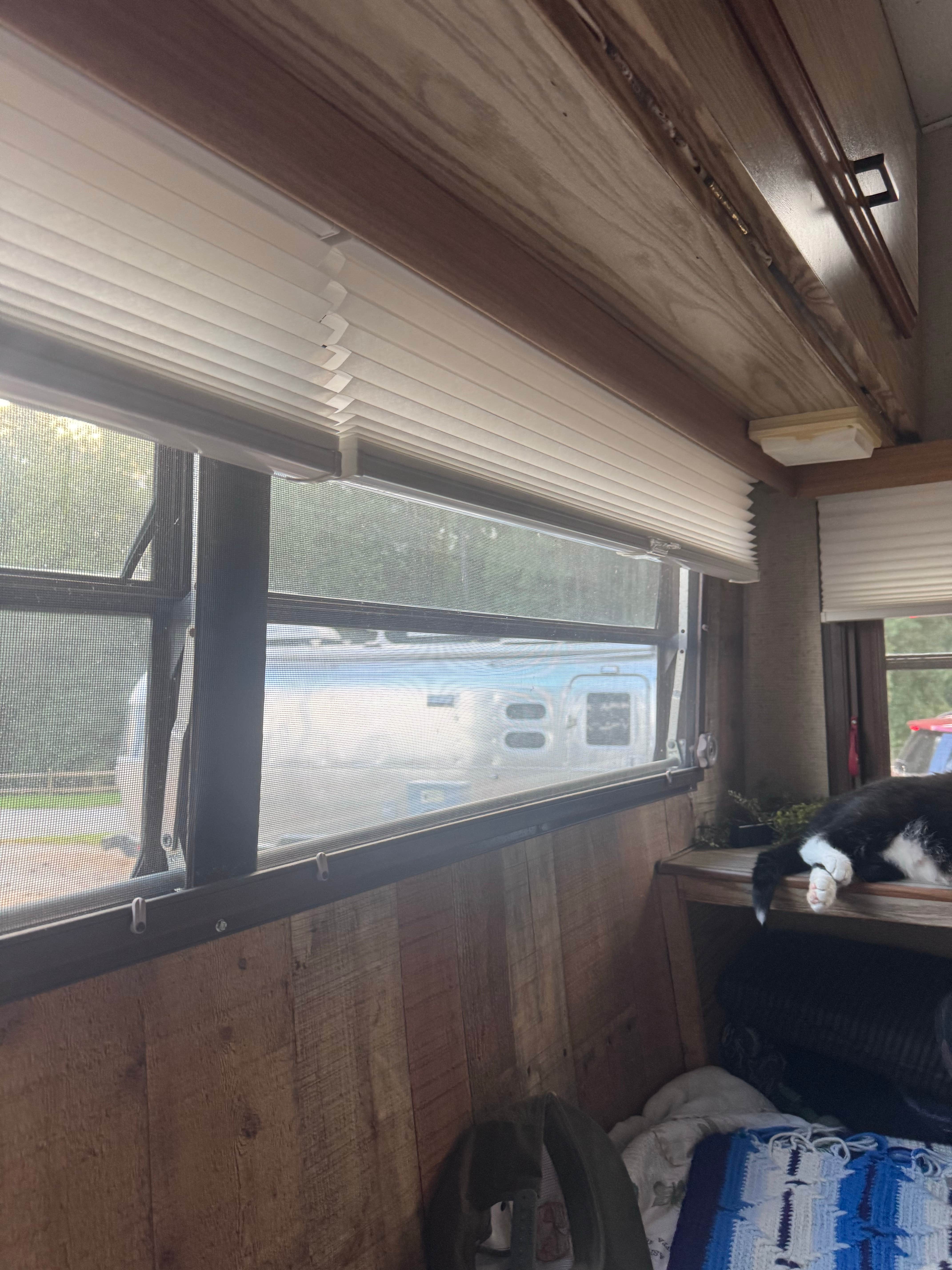 madison F.'s photo of camping with pets at Iron City Campground, Inc. near Rock Hill, SC