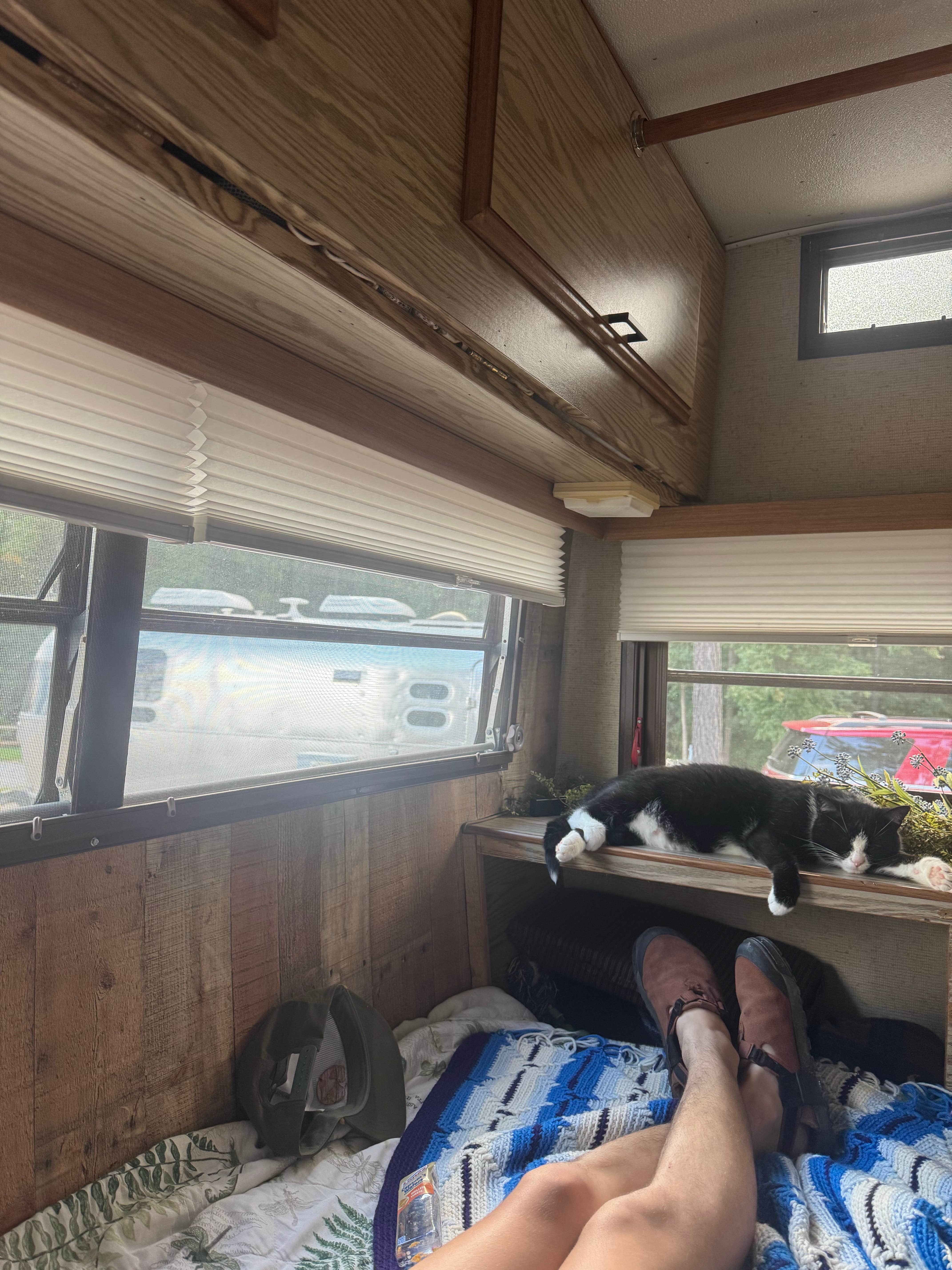 madison F.'s photo of camping with pets at Iron City Campground, Inc. near Spartanburg, SC