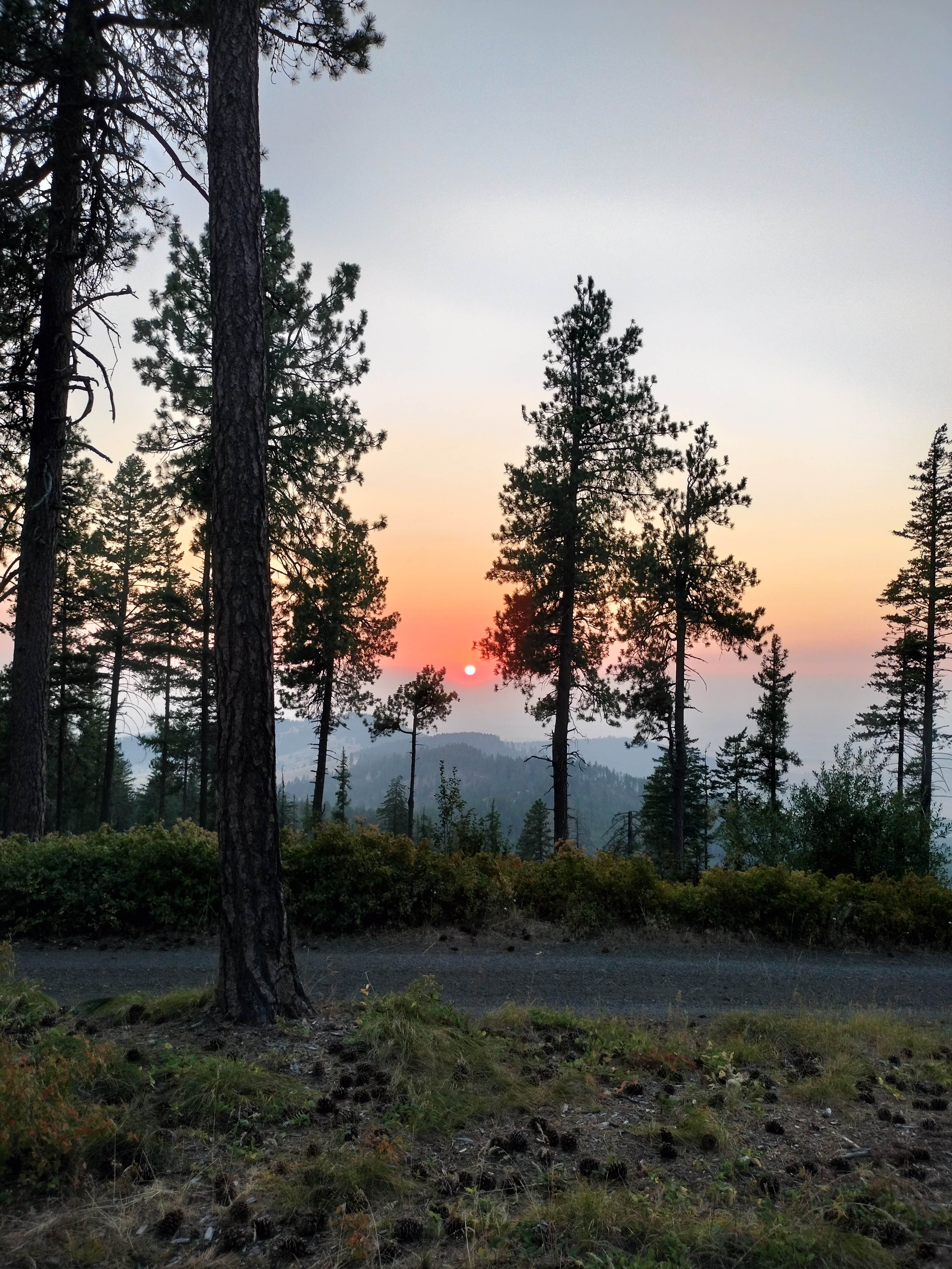 Camper-submitted photo at Iron Mountain Campground — Mary Minerva McCroskey State Park near Harvard, ID