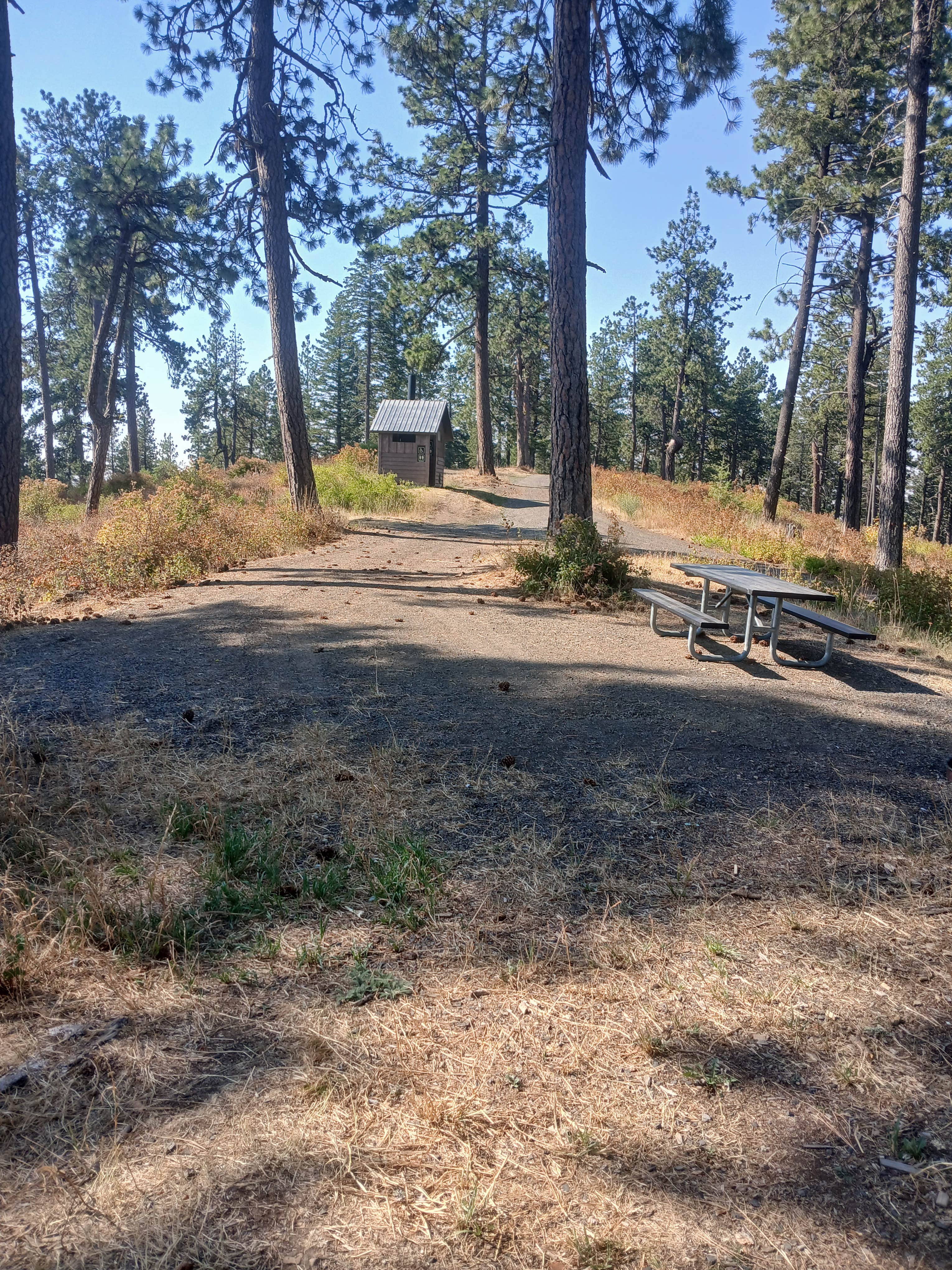 Camper-submitted photo at Iron Mountain Campground — Mary Minerva McCroskey State Park near Steptoe, WA