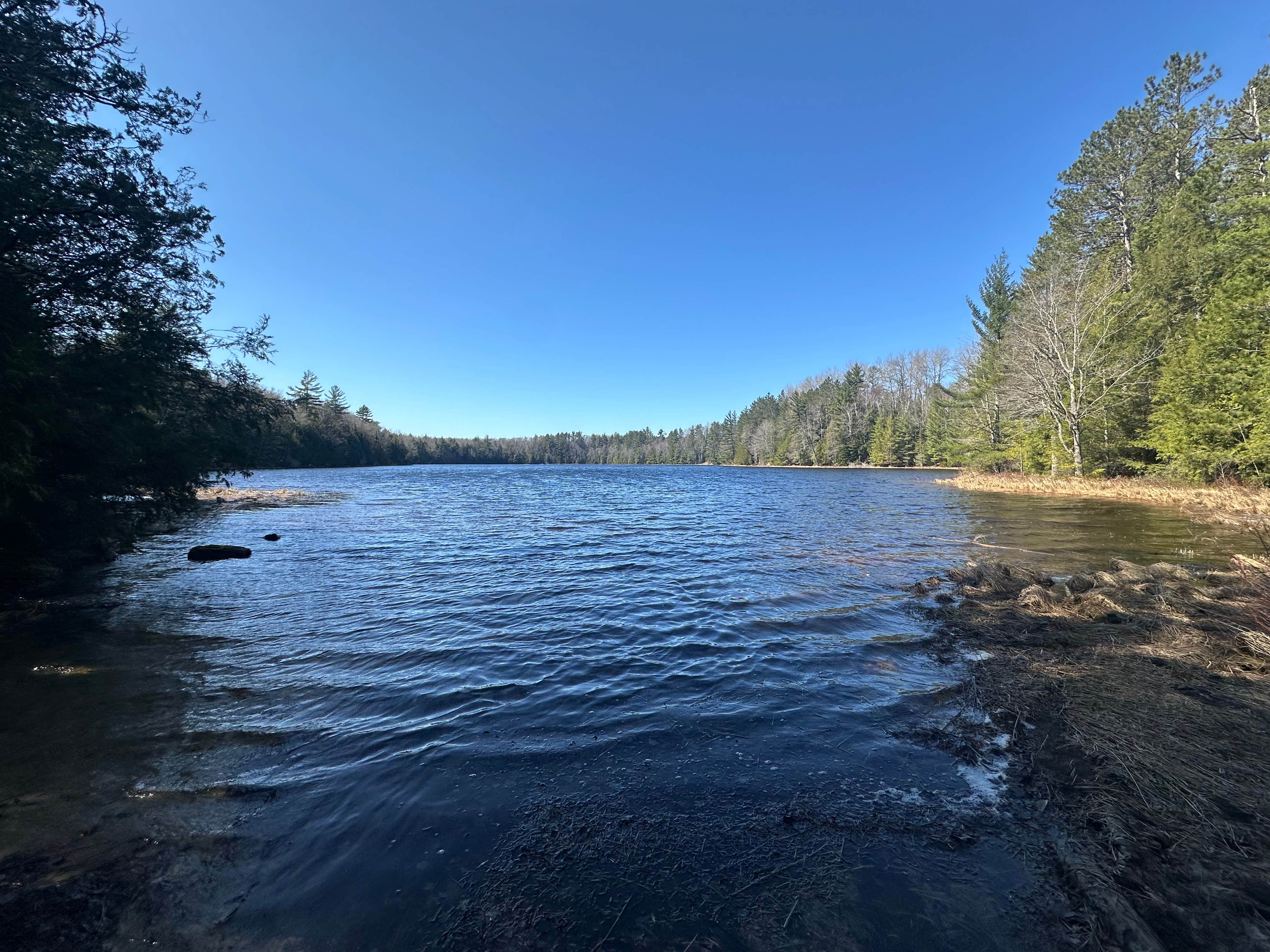 Camper-submitted photo at Ironjaw Lake Dispersed Campsite near Nahma, MI