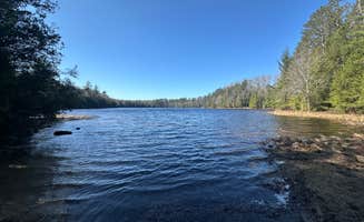 Willow M.'s photo of a dispersed camping area at Ironjaw Lake Dispersed Campsite near Skandia, MI