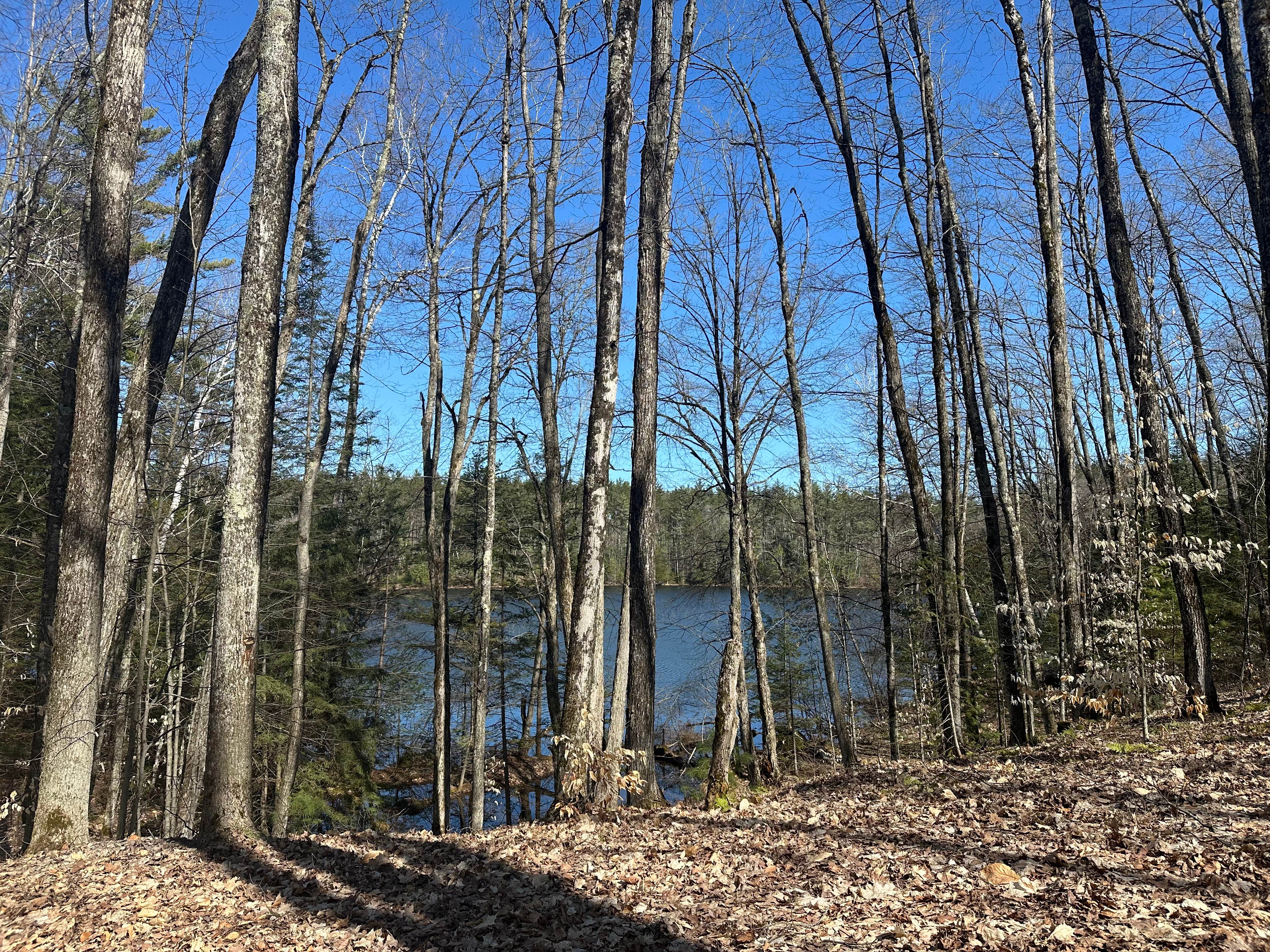 Camper-submitted photo at Ironjaw Lake Dispersed Campsite near Nahma, MI