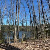 Review photo of Ironjaw Lake Dispersed Campsite by Willow M., April 28, 2025