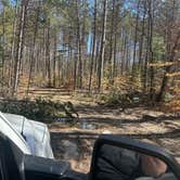 Review photo of Ironjaw Lake Dispersed Campsite by Willow M., April 28, 2025