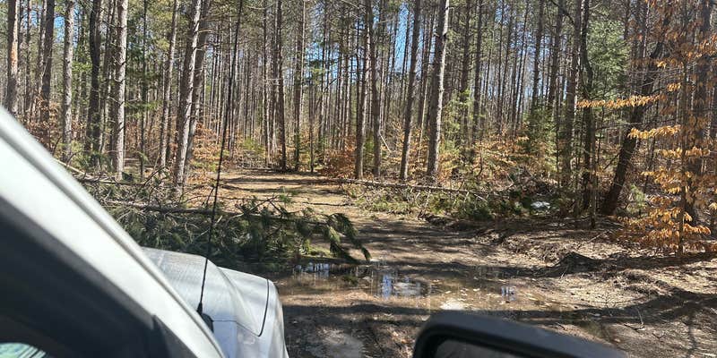 Camper submitted image from Ironjaw Lake Dispersed Campsite