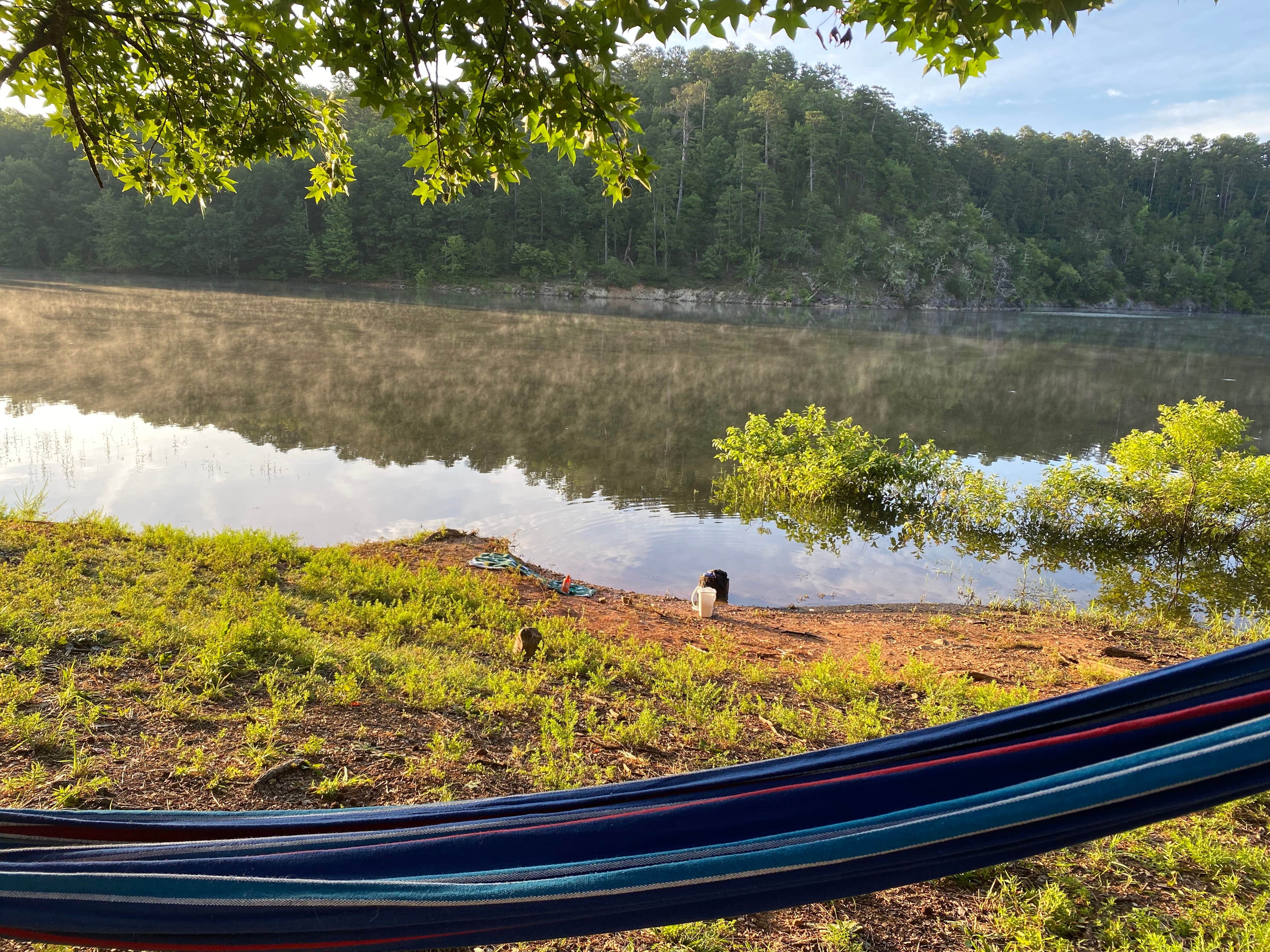 Charity S.'s photo of a dispersed camping area at Irons Fork near Royal, AR