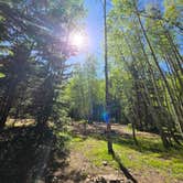 Review photo of Ironton Dispersed San Juan NF by Steve M., June 12, 2026