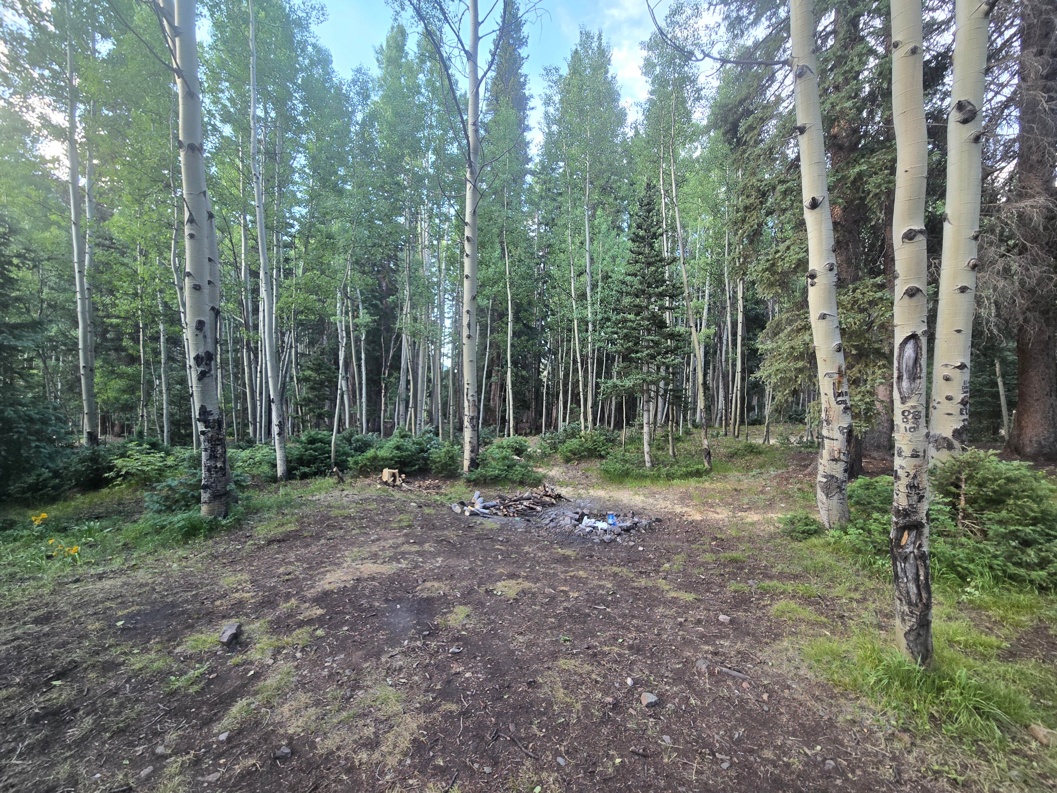 Camper-submitted photo at Ironton Dispersed San Juan NF near Ouray, CO