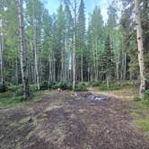 Review photo of Ironton Dispersed San Juan NF by Steve M., July 13, 2025