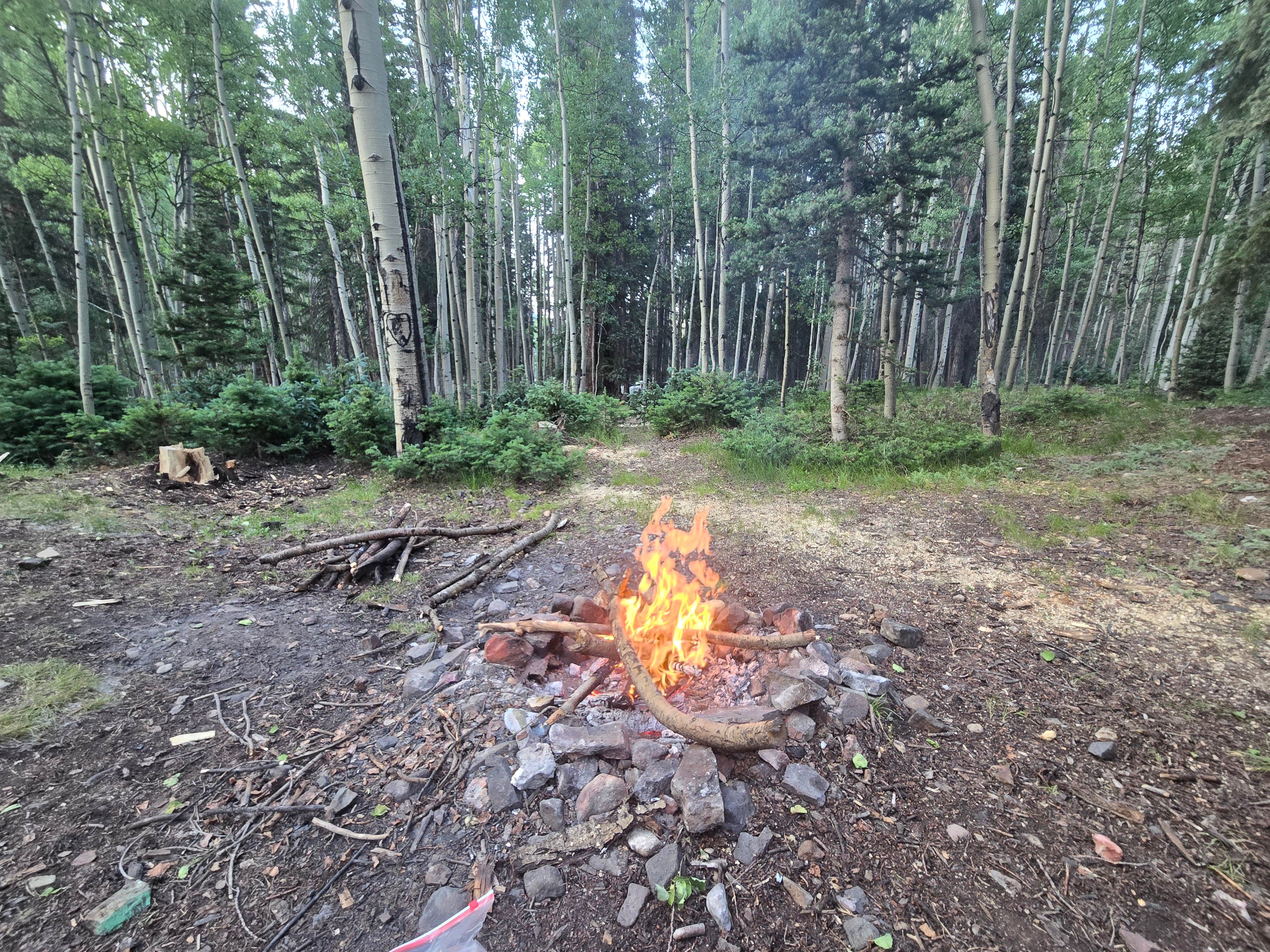Camper submitted image from Ironton Dispersed San Juan NF - 1