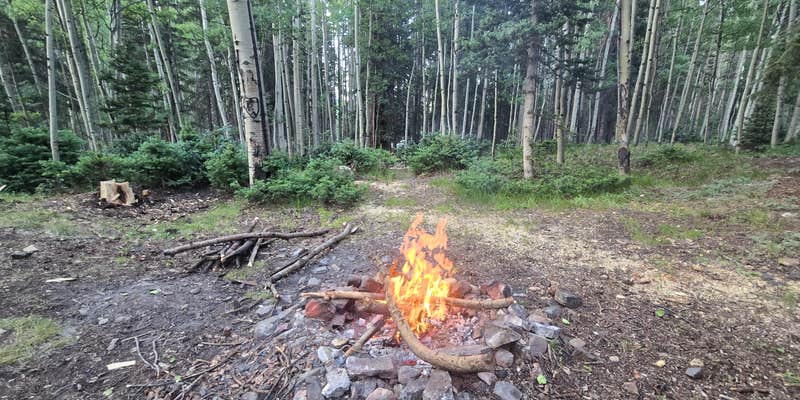 Camper submitted image from Ironton Dispersed San Juan NF