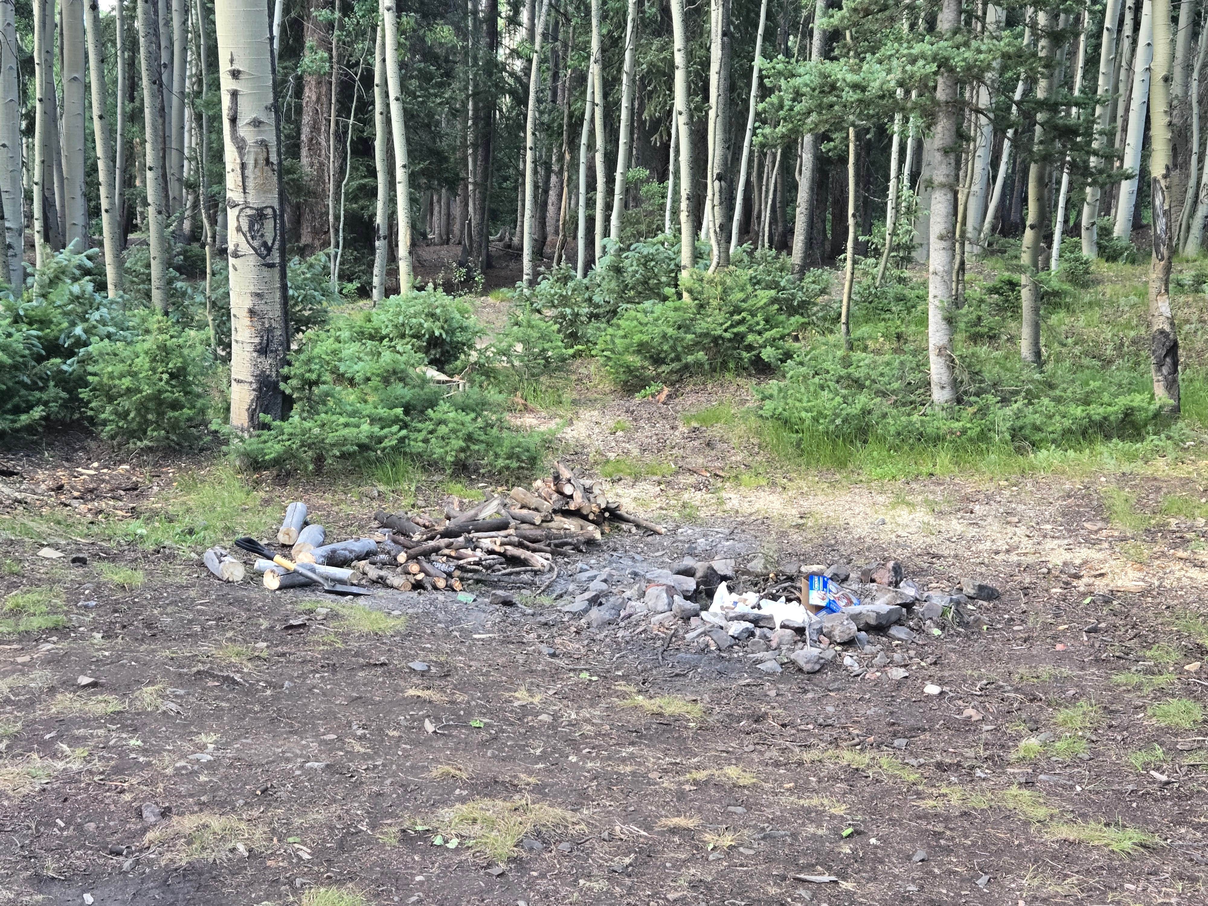 Camper-submitted photo at Ironton Dispersed San Juan NF near Ouray, CO