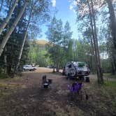 Review photo of Ironton Dispersed San Juan NF by Steve M., July 13, 2025
