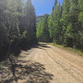 Review photo of Ironton Dispersed San Juan NF by Steve M., June 12, 2026