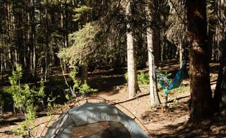 Ashlyn H.'s photo at Ironton Park Dispersed near Ouray, CO