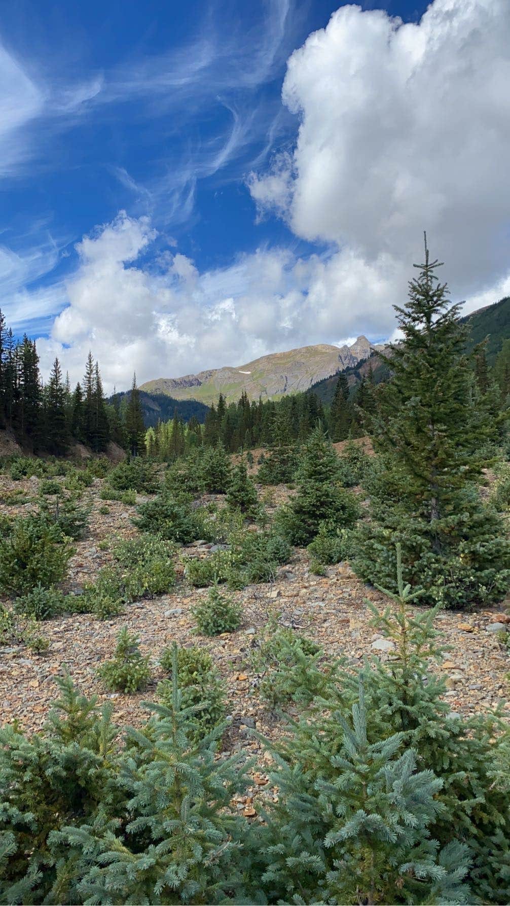Camper-submitted photo at Ironton Park Dispersed near Silverton, CO