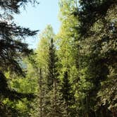 Review photo of Ironton Park Dispersed by Ashlyn H., June 17, 2025