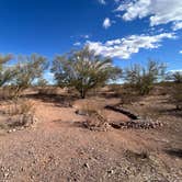 Review photo of Ironwood Forest BLM National Monument Pump Station Dispersed by Susan C., March 16, 2025