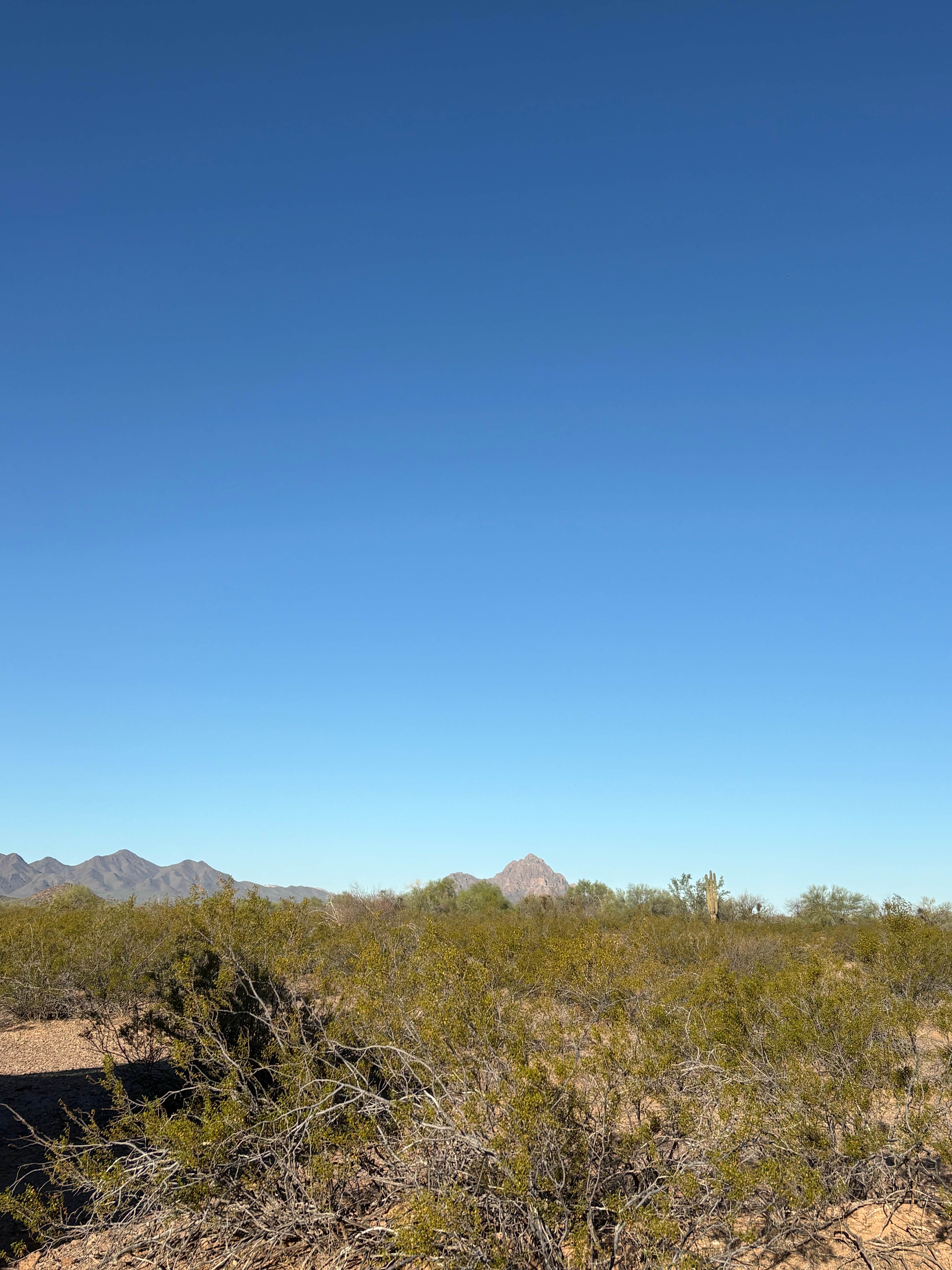 Lauren M.'s photo of a dispersed camping area at Ironwood Forest BLM National Monument Pump Station Dispersed near Marana, AZ