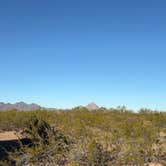 Review photo of Ironwood Forest BLM National Monument Pump Station Dispersed by Lauren M., March 12, 2026