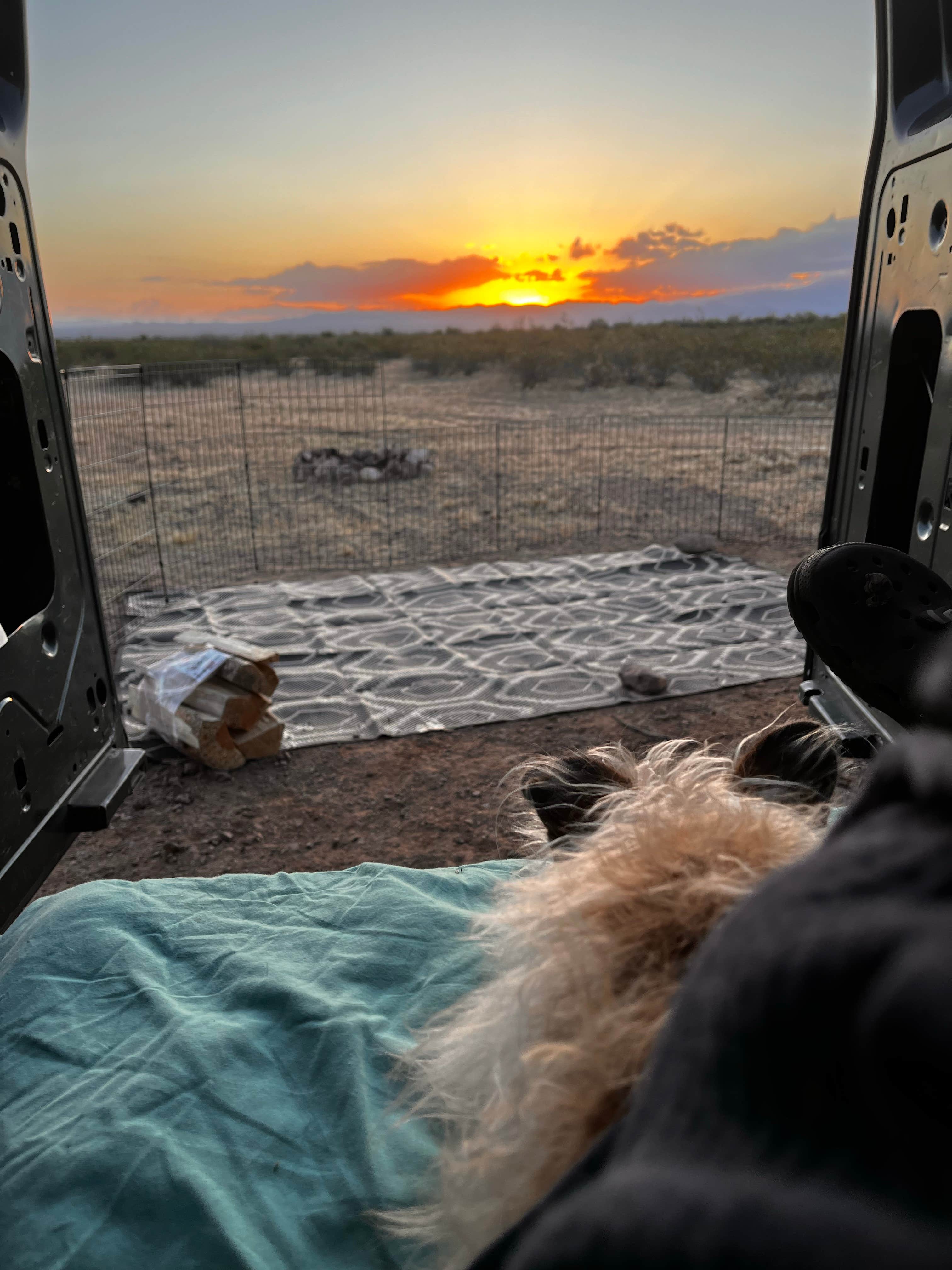 Timber's photo of camping with pets at Ironwood Forest BLM National Monument Pump Station Dispersed near Arizona City, AZ