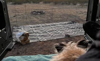 Timber's photo of camping with pets at Ironwood Forest BLM National Monument Pump Station Dispersed near Cortaro, AZ
