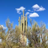 Review photo of Ironwood Forest BLM National Monument Pump Station Dispersed by Susan C., March 16, 2025