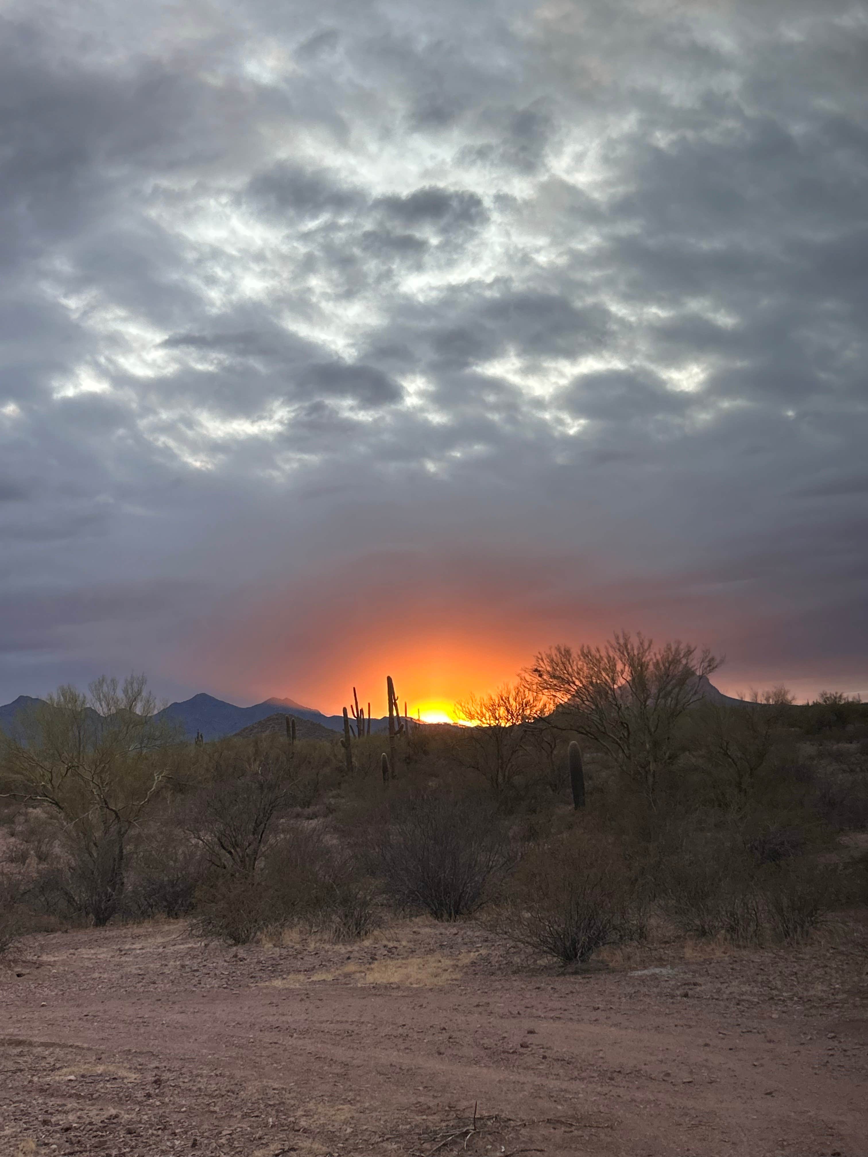 Camper-submitted photo at Ironwood Forest BLM National Monument Pump Station Dispersed near Eloy, AZ