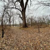 Review photo of Island Campground — Merrick State Park by Crystal B., November 19, 2025